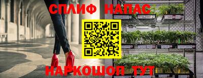 молекула духа Ликино-Дулёво